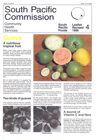 Guava: a nutritious tropical fruit