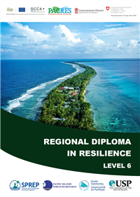 Regional Certificate in Resilience Level 6