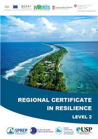 Regional Certificate in Resilience Level 2