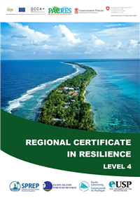 Regional Certificate in Resilience Level 4