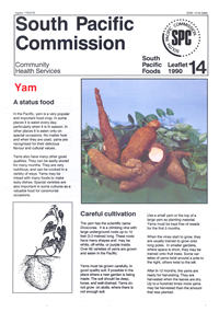Yam: a status food