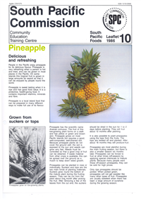 Pineapple: delicious and refreshing