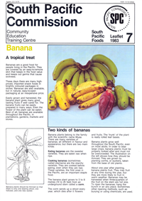 Banana: a tropical treat