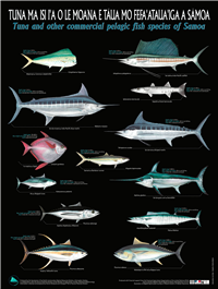 Samoan Fish Chart